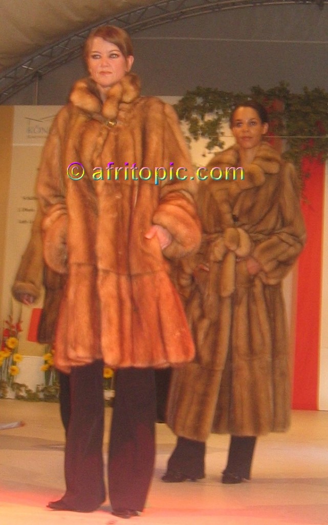 ../Images/krefash2 339.jpg